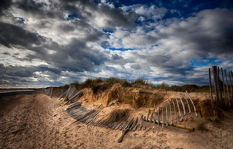 2nd Walberswick Fence by David Robinson ARPS.jpg - George Farthing 2013